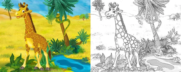 Scène Dessin Animé Avec Girafe Animale Sauvage Dans Nature Illustration — Photo