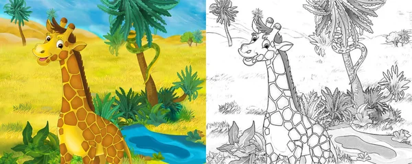 Cena Dos Desenhos Animados Com Girafa Animal Selvagem Natureza Ilustração — Fotografia de Stock