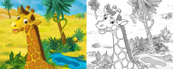Scena Rysunkowa Dziką Żyrafą Zwierzęcą Przyrodzie Ilustracja Dla Dzieci — Zdjęcie stockowe