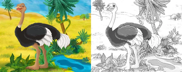 Cartoon Scene Met Wild Dier Struisvogel Natuur Illustratie Voor Kinderen — Stockfoto