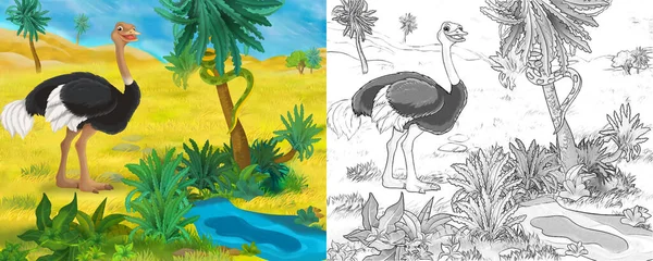 Cartoon Scene Met Wild Dier Struisvogel Natuur Illustratie Voor Kinderen — Stockfoto