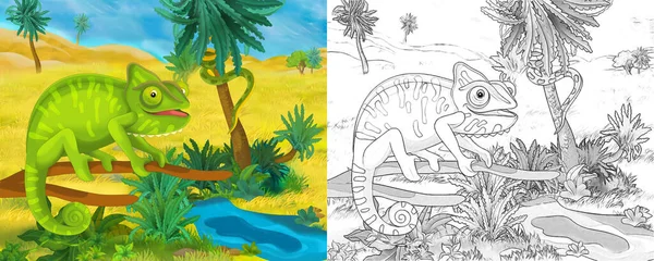 Cena Dos Desenhos Animados Com Camaleão Animal Selvagem Natureza Ilustração — Fotografia de Stock