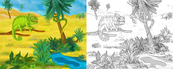 Scène Dessin Animé Avec Caméléon Animal Sauvage Dans Nature Illustration — Photo