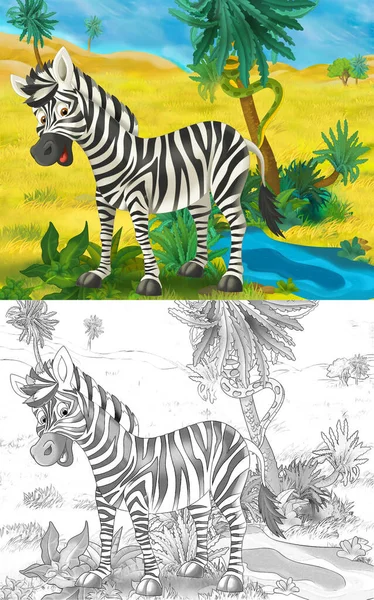 Vahşi Hayvan Zebra Atının Doğada Olduğu Karikatür Sahnesi Çocuklar Için — Stok fotoğraf