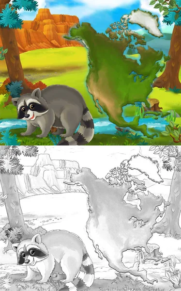 Escena Dibujos Animados Con Mapache Animal Salvaje Naturaleza Ilustración Para — Foto de Stock