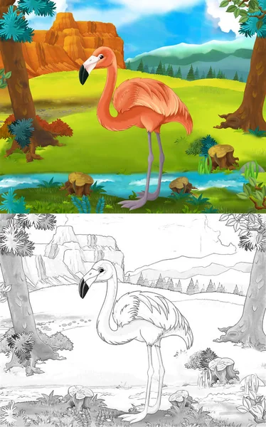 Zeichentrickszene Mit Wildem Flamingo Vogel Der Natur Illustration Für Kinder — Stockfoto