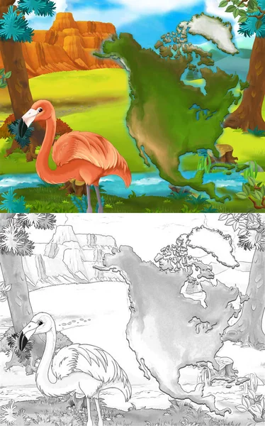 Cartoon Scene Wild Animal Flamingo Bird Nature Illustration Children — Stock Photo, Image