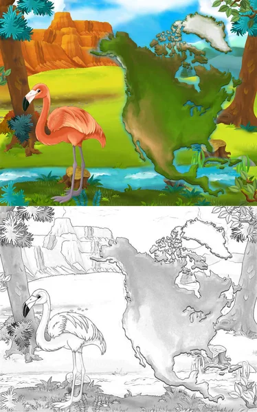 野生動物フラミンゴの鳥をモチーフにした漫画シーン イラスト 子供向けイラスト — ストック写真