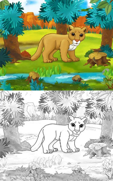 Doğada Vahşi Kedi Pumasının Olduğu Çizgi Film Sahnesi Çocuklar Için — Stok fotoğraf