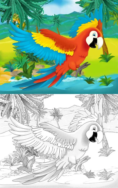 Cartoon Scene Met Wild Dier Papegaai Vogel Natuur Illustratie Voor — Stockfoto