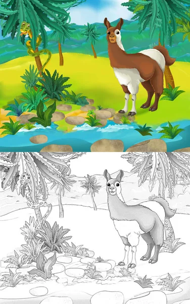 Scène Dessin Animé Avec Lama Animal Sauvage Dans Nature Illustration — Photo