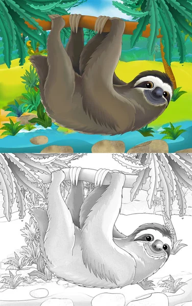 Cena Dos Desenhos Animados Com Preguiça Animal Selvagem Pendurado Natureza — Fotografia de Stock