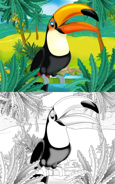 Scène Dessin Animé Avec Des Oiseaux Sauvages Toucan Dans Nature — Photo