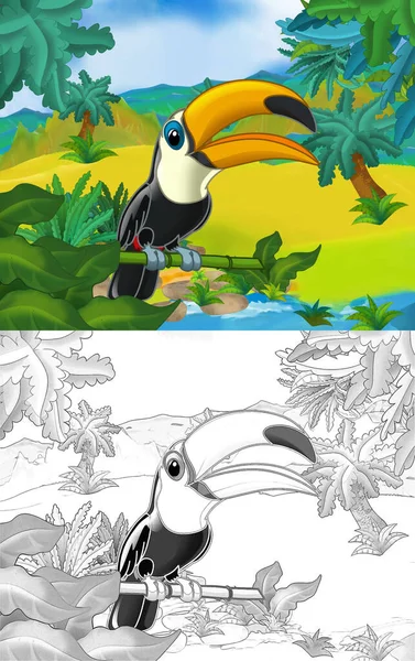 Zeichentrickszene Mit Wildem Tier Tukan Vogel Der Natur Illustration Für — Stockfoto