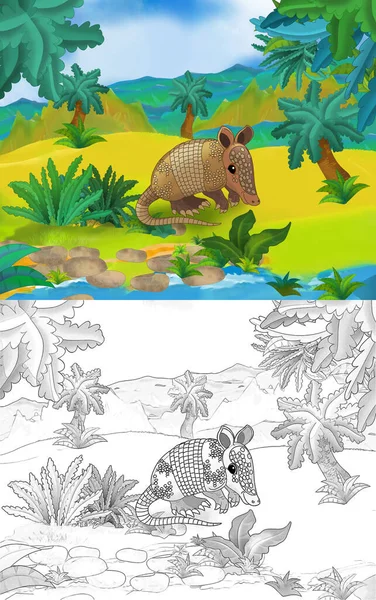 Мультипликационная Сцена Броненосцем Диких Животных Природе Иллюстрация Детей — стоковое фото