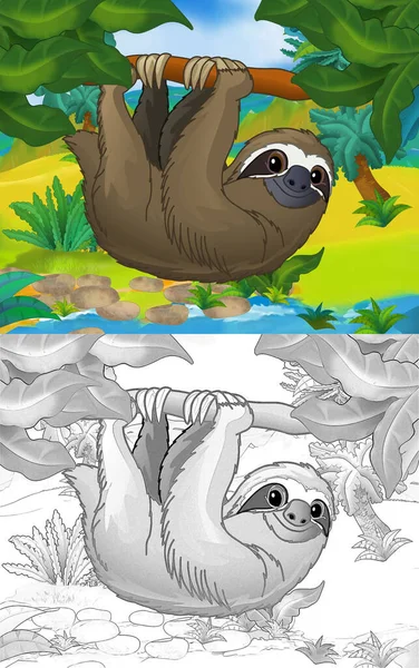 cartoon scene with wild animal sloth in nature - illustration for children
