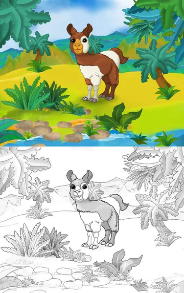 Zeichentrickszene Mit Wildtier Lamas Der Natur Illustration Für Kinder — Stockfoto