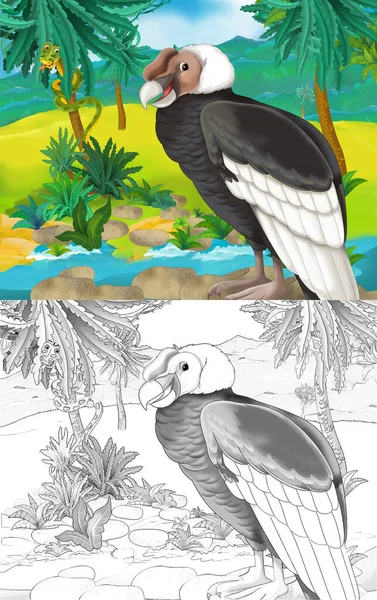 野生动物秃鹫在自然界中的卡通场景 儿童图解 — 图库照片