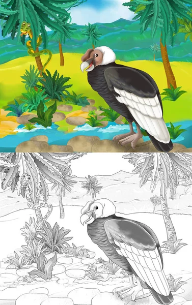 cartoon scene with wild animal bird vulture in nature - illustration for children