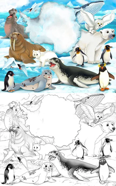 Scena Kreskówek Dzikimi Zwierzętami Pływającymi Ssakami Naturze Polarnej Ilustracja Dla — Zdjęcie stockowe