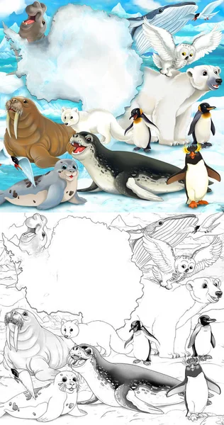 Scena Kreskówek Dzikimi Zwierzętami Pływającymi Ssakami Naturze Polarnej Ilustracja Dla — Zdjęcie stockowe