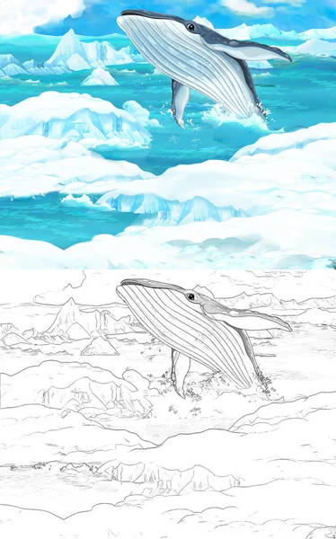 cartoon scene with wild swimming animal whale in polar nature - illustration for children