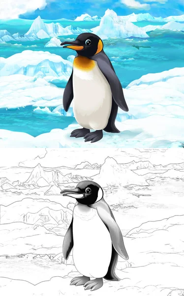 Scène Dessin Animé Avec Des Animaux Sauvages Pingouin Oiseau Dans — Photo