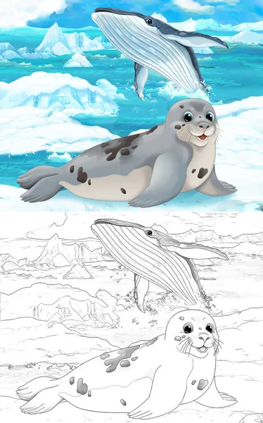 Cartoon Scene Met Wild Dier Zeehond Poolnatuur Illustratie Voor Kinderen — Stockfoto