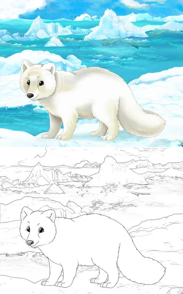 cartoon scene with wild animals like white fox in polar nature - illustration for children