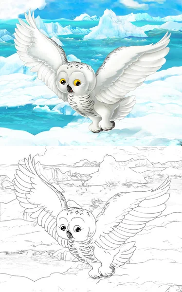 白フクロウのような野生動物との漫画シーン 子供のためのイラスト — ストック写真