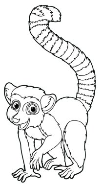 Lemur - sayfa boyama