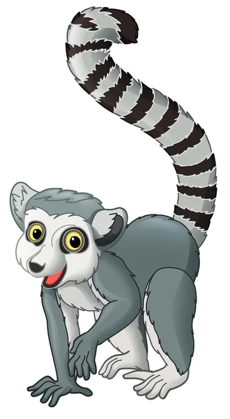 Cartoon animal - lemur — Stock Photo, Image