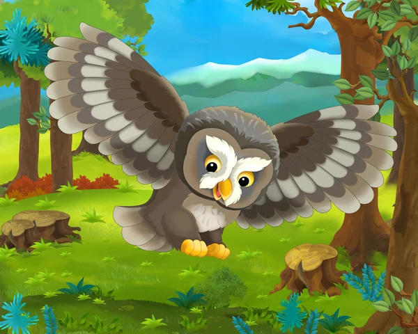 Cartoon  owl — Stock Photo, Image