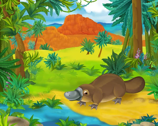 Cartoon  platypus — Stock Photo, Image