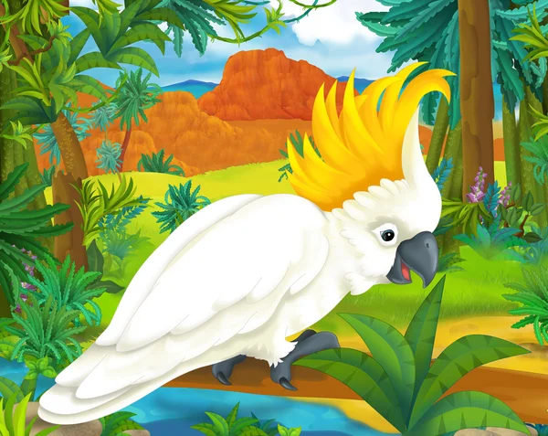 Cartoon  cockatoo parrot — Stock Photo, Image