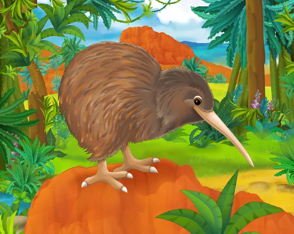 Cartoon kiwi oiseau — Photo