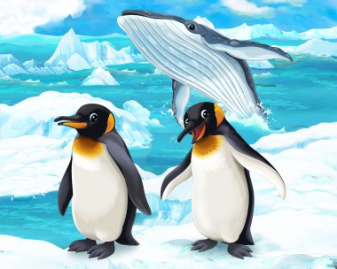 penguenler ve balina