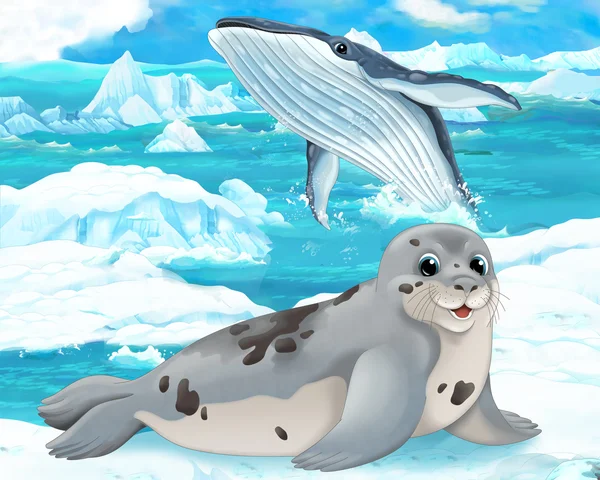 Tuleňů a velryb — Stock fotografie