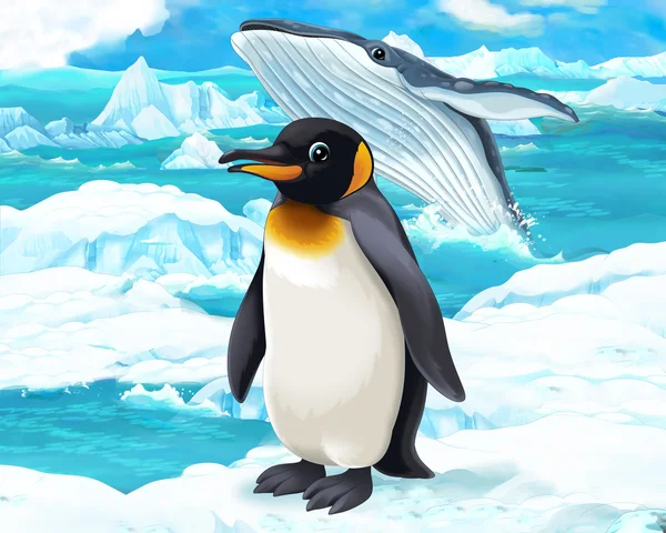 Pinguino e balena — Foto Stock