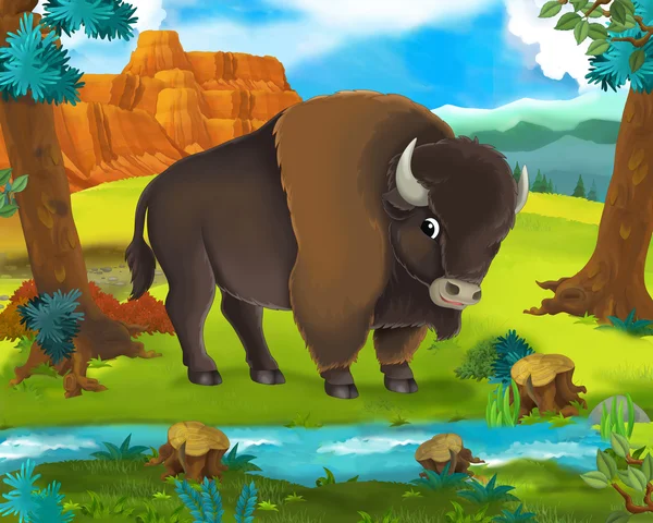 Cartoon Bison — Stock Photo, Image