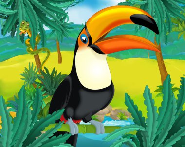 karikatür toucan