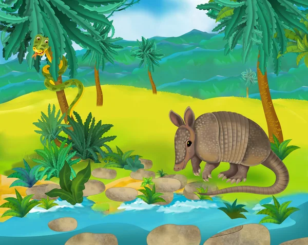 Cartoon armadillo — Stock Photo, Image