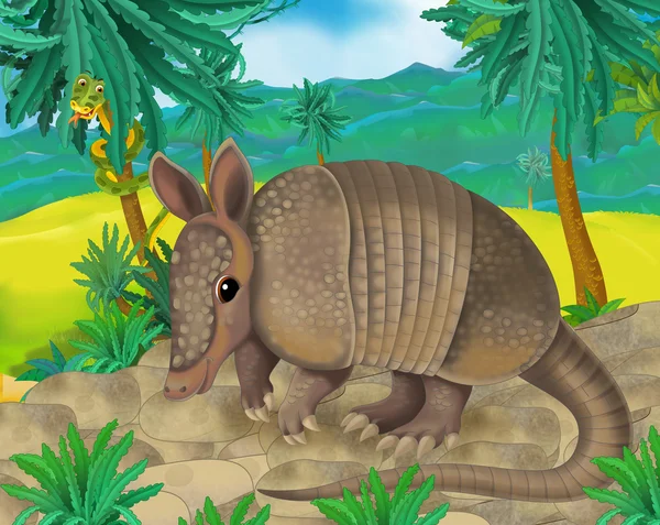 Armadillo de dibujos animados — Foto de Stock