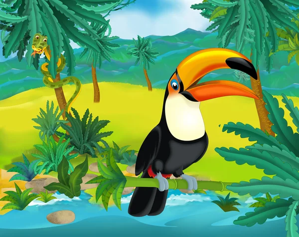 Cartoon toucan — Stockfoto