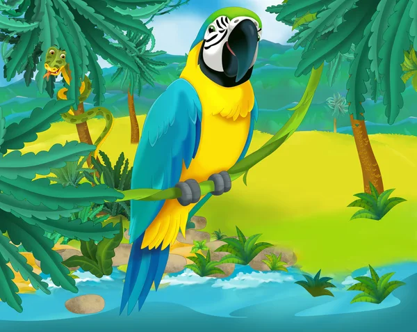 Cartoon papegoja — Stockfoto