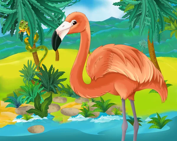 Cartoon flamingo — Stockfoto