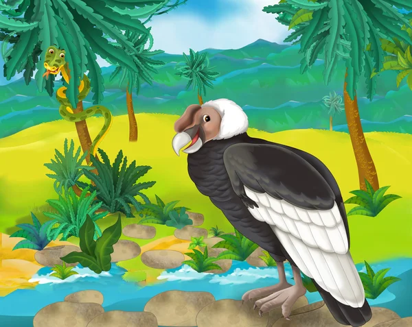 Cartoon condor — Stockfoto