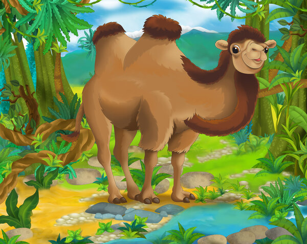 Cartoon  camel