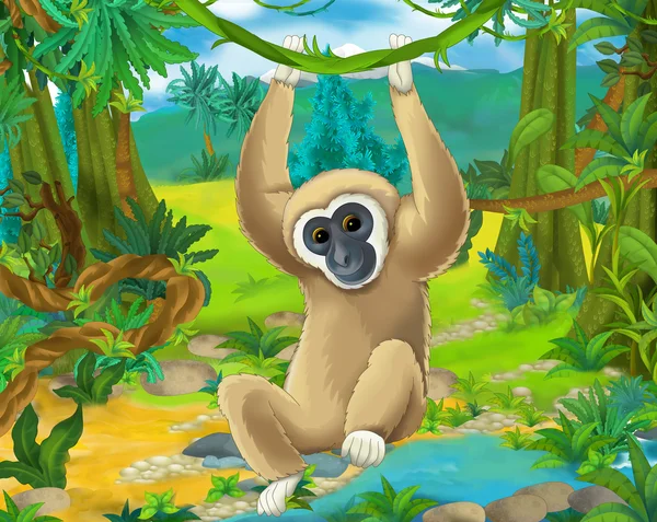 Cartoon  gibbon — Stock Photo, Image