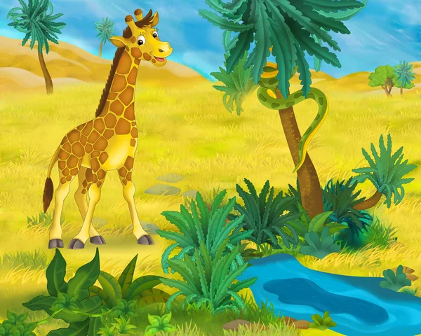 Cartoon wild giraffe — Stockfoto